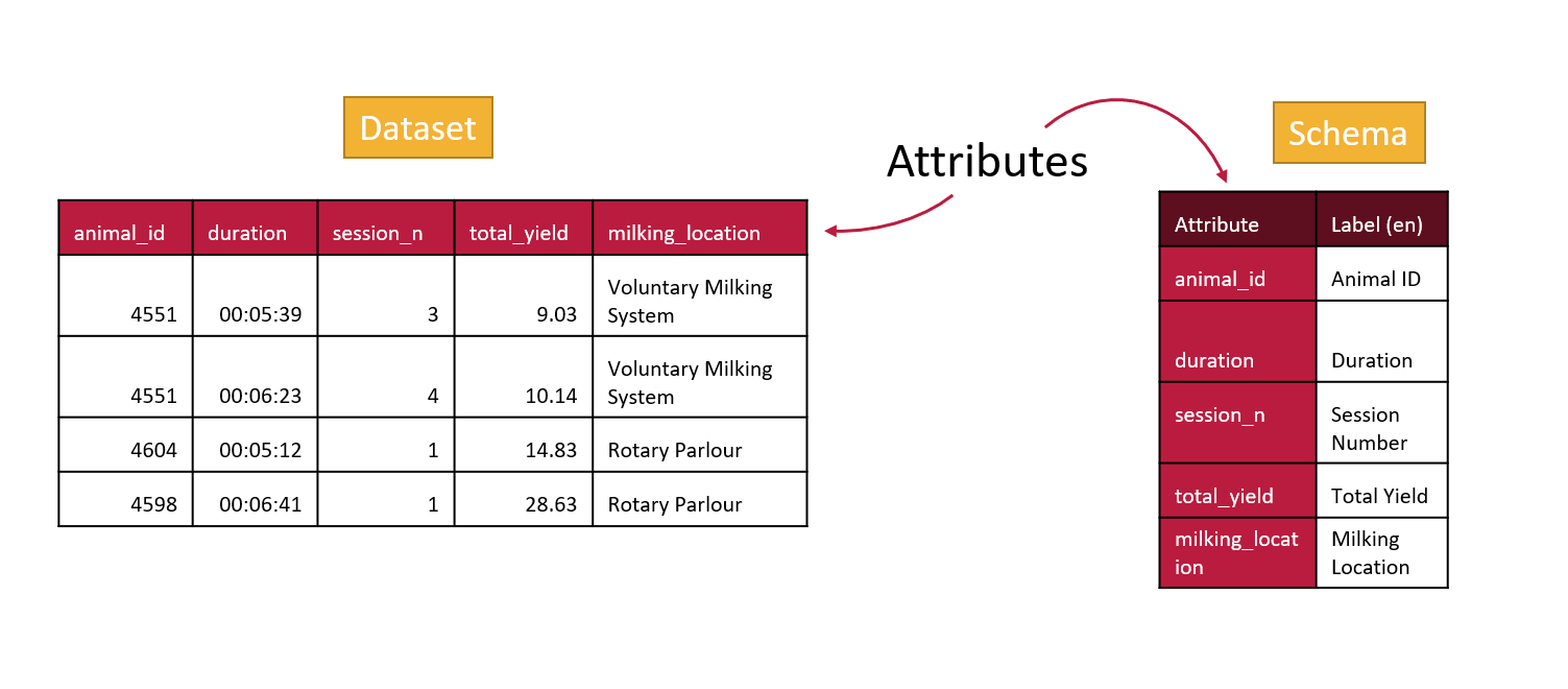 A dataset and its schema