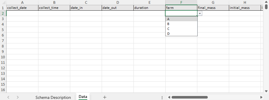 Data Entry Excel